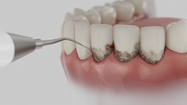 Reliable Dental contractor in Clarksburg, WV by Dentist Open Now